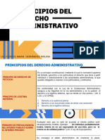 Principios Del Derecho Administrativo