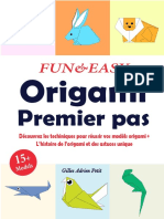 Origami Premier Pas