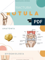 FX de Rótula