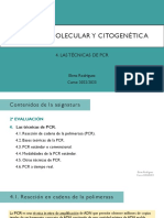 Las Técnicas de PCR - Puntos 4.1. y 4.2