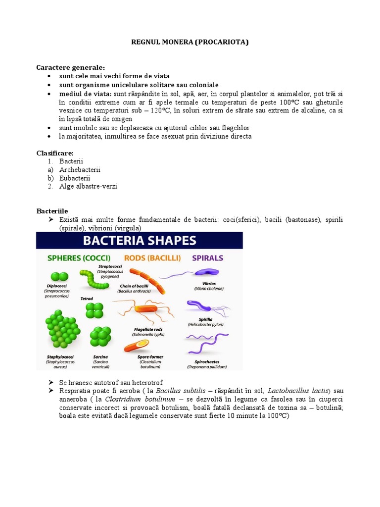 Regnul Monera | PDF