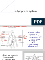 Lymphatic System