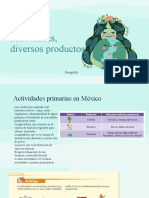 Diversas Actividades, Diversos Productos. 4°