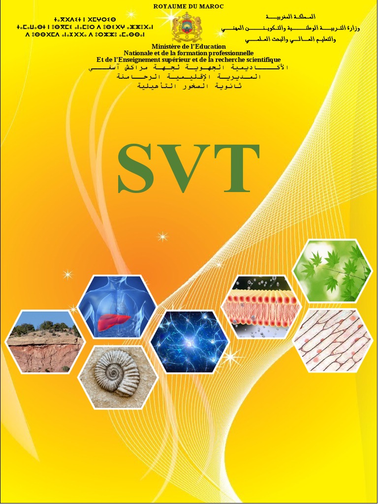 Transmission génétique en SVT 2 Bac SM | PDF | Méiose | Fécondation