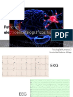 Patrones Electroencefalograficos Humanos 2020 2