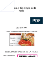 Anatomía y Fisiología de La Nariz