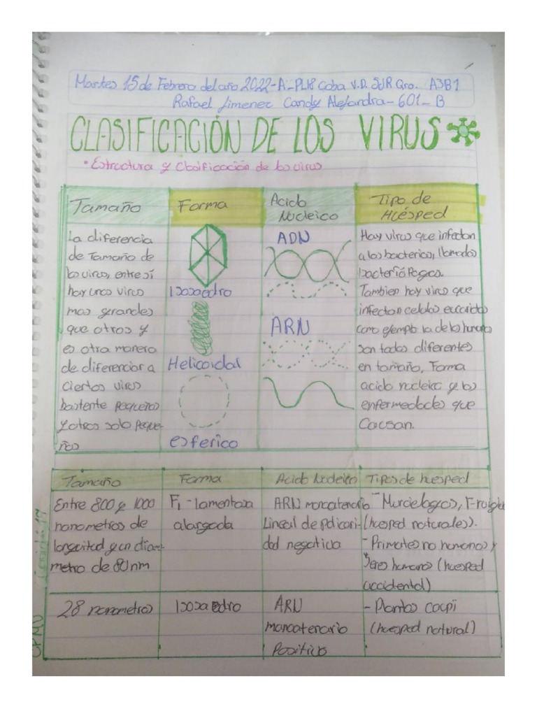 A3b1 Clasificación de Los Virus | PDF