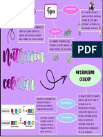 Mapa Mental Sobre La Nutricion Celular