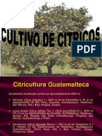 Presentación Cultivo de Citricos