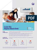 Hoja Informativa - PE Lean Six Sigma Black Belt 2022 v2