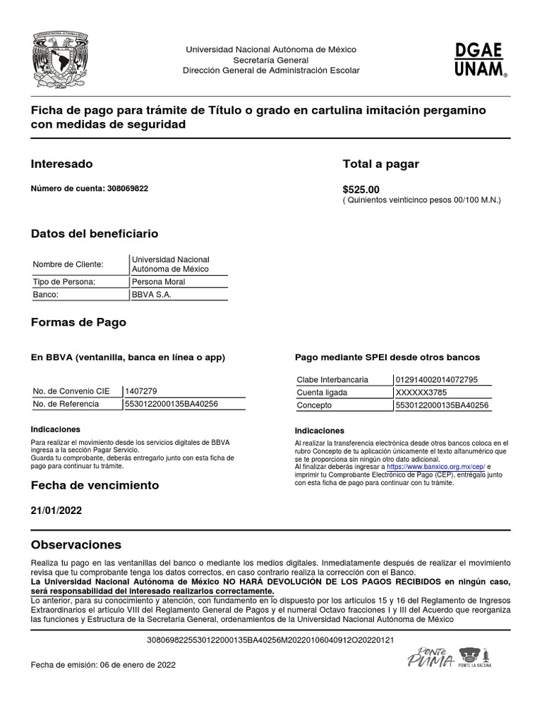 Ficha de Pago Derechos Titulo | PDF