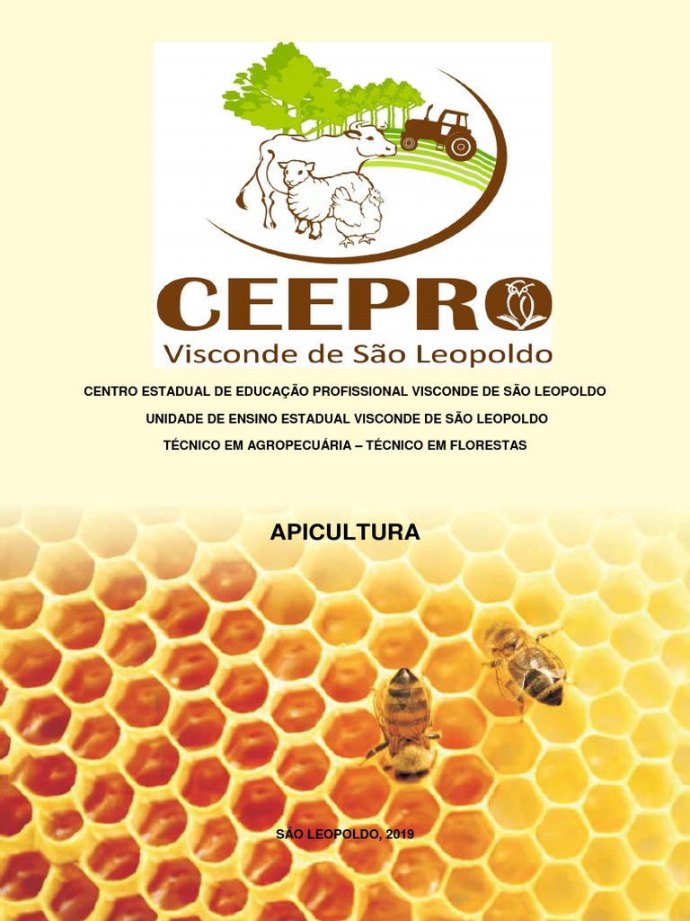 RS: inseticida aplicado na soja prejudica criadores de abelha