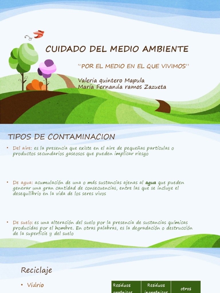 Cuidado Del Medio Ambiente | PDF | Contaminación | Suelo