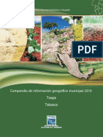 Compendio de Información Geográfica Municipal 2010: Teapa Tabasco
