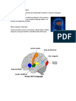 Info para Exposicion