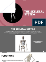 The Skeletal System