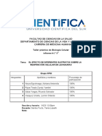 Informe N 5 Grupo 2