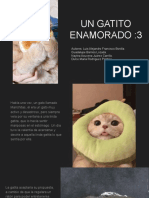 Un Gatito Enamorado 2