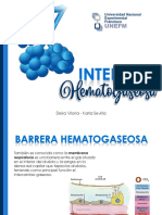 INTERFASE HEMATOGASEOSA - Part I