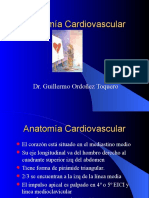 Anatomía Cardiovascular