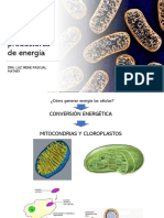 Organelos Productores de Energía