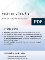 Xuất huyết não Y5