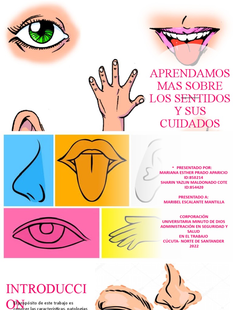 Los Sentidos Pdf Oído Gusto