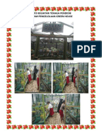 FOTO KEGIATAN TENAGA PENDIDIK GREEN HOUSE