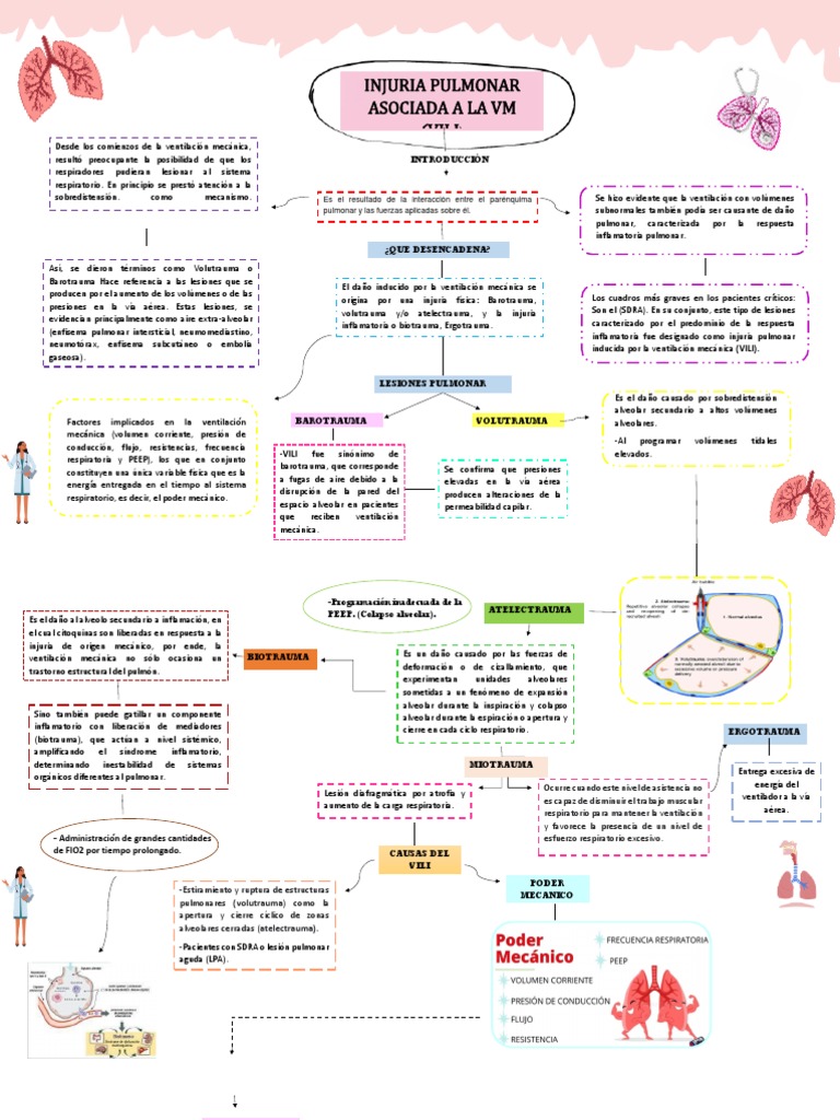Injuria Pulmonar - Vili | PDF | Sistema respiratorio | Pulmón
