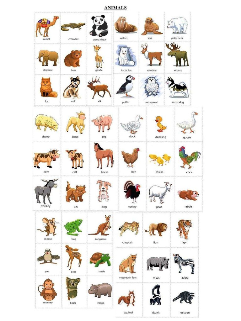 Animals | PDF