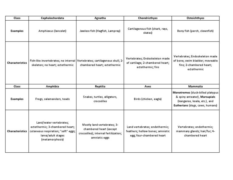 Chordate intelligence overview