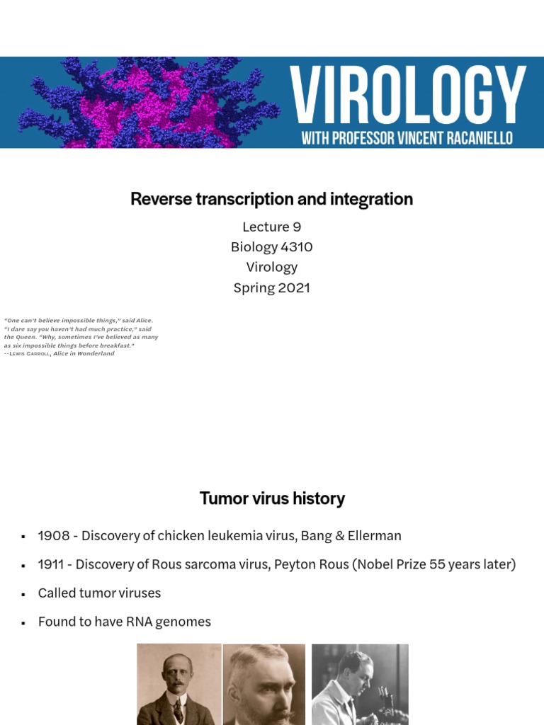 Lecture 9 - Reverse Transcription and Integration | PDF | Reverse ...