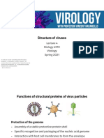 Lecture 4 - Structure of Viruses