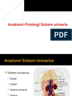 Anfis Sistem Urinaria-Fauzy
