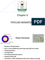 Roundworms: Key Features of the Phylum Nematoda