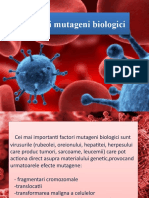 267749291 Factori Mutageni Biologici