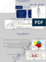 المقطع bem