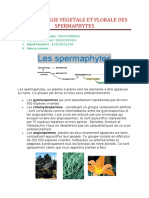 Morphologie Vegetale Et Florale Des Spermaphytes