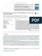 Motivating Meta-Awareness of Mind Wandering: A Way To Catch The Mind in Flight?