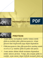 Metabolisme Protein