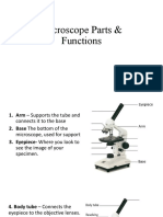 Microscope Parts Functions