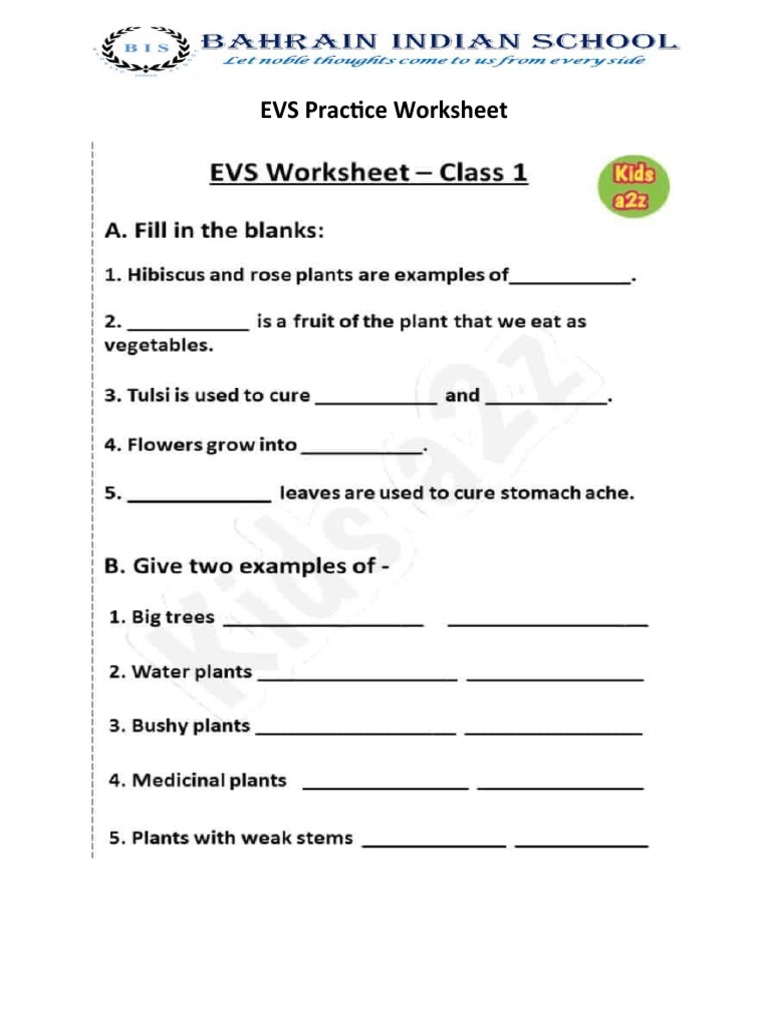 Practice Worksheet - 3 | PDF