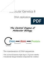 Molecular Genetics II: DNA Replication and the Meselson-Stahl Experiment