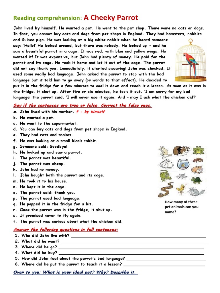 RC The Cheeky Parrot Reading Comprehension Exercises - 141373 | PDF