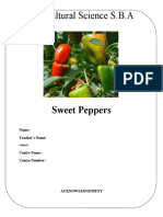 Agricultural Science SBA Sweet Peppers Project