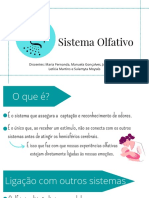 Movimento Humano - Sistema Olfativo