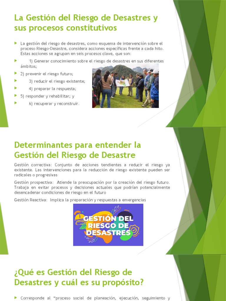 La Gestión Del Riesgo de Desastres y Sus | PDF | Riesgo | Reducción de ...