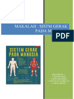 Makalah: Sistm Gerak Pada Manusia: Kelompok 3: 1. Muh Ilham 2. Rita Magfira 3. Intan Salsabila P. 4. Muh. Ikmal