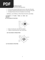 Transport in Flowering Plants Final Version