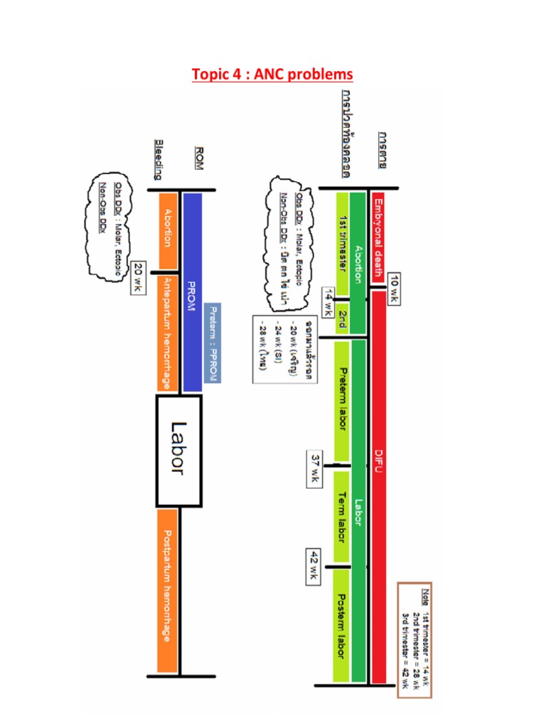 GoodNotes 4 | PDF